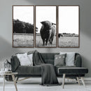 Black and White Highland Cow Wall Art Canvas Print | Rustic