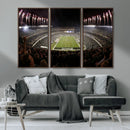 Eagles Field Stadium Wall Art - Philadelphia Eagles Football