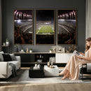 Eagles Field Stadium Wall Art - Philadelphia Eagles Football
