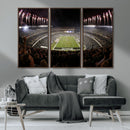 Eagles Field Stadium Wall Art - Philadelphia Eagles Football
