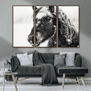 Framed Black and White Horse Wall Art | Ready to Hang and by MyGreatCanvas | Canvas Wall Art Prints | Photo Prints & Wall Decor