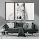 Majestic White Horse Wall Art | Ready to Hang and Framed |