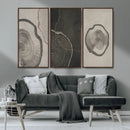 Minimalist Tree Rings Wall Art | Modern Abstract Canvas