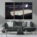 Honda Center California Anaheim Ducks Hockey Stadium Wall