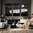Honda Center California Anaheim Ducks Hockey Stadium Wall