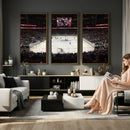 T Mobile Arena Paradise Nevada Vegas Golden Knights Ice
