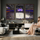UBS Arena Elmont New York Islanders Ice Hockey Wall Art, UBS