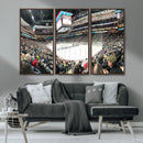 Xcel Energy Center St Paul Minnesota Wild Ice Hockey Stadium