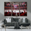 Carolina Hurricanes Ice Hockey Stadium Wall Art, Carolina