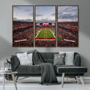 Florida Tampa Raymond James Stadium Wall Art Canvas Print -