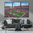 Florida Tampa Raymond James Stadium Wall Art Canvas Print -