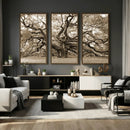 Sepia Framed Angel Oak Tree Wall Art - 3-Panel Canvas
