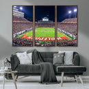 NC State Wolfpack Canvas Print - Raleigh Carter-Finley