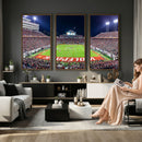 NC State Wolfpack Canvas Print - Raleigh Carter-Finley
