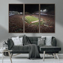 Wisconsin Badgers Football Team Print - Madison Camp Randall