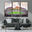 Brigham Young University Cougars Football Team Print - Provo