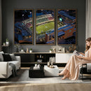 University of North Texas Mean Green Football Artwork,