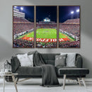 Wolfpack Football Team Print - Raleigh Carter-Finley Stadium
