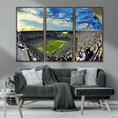 Framed USF Bulls Football Team Print - Tampa Raymond James by MyGreatCanvas | Canvas Wall Art Prints | Photo Prints & Wall Decor