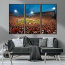 Clemson University Tigers Football Team Print - Clemson