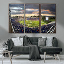 Duke University Blue Devils Football Team Print - Durham