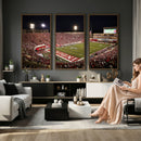 Indiana University Hoosiers Football Team Print Canvas