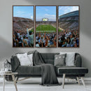 Michigan State Spartans Football Team Art Print - East
