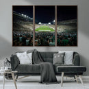 Framed Michigan State Spartans Football Team Print - East
