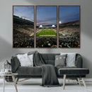 Michigan State Spartans Football Team Print - East Lansing