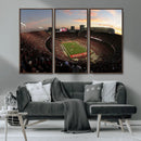 Ohio State University Buckeyes Football Team Print -