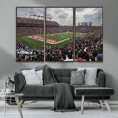 Rutgers Scarlet Knights Football Team Print - SHI Stadium,