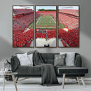 Rutgers Scarlet Knights Football Team Print - Piscataway SHI by MyGreatCanvas | Canvas Wall Art Prints | Photo Prints & Wall Decor
