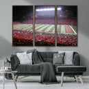 Rutgers University Scarlet Knights Football Team Print -