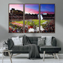 Stanford University Cardinal Football Team Print - Stanford