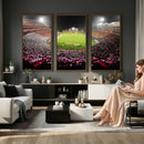 University of Maryland Terrapins Football Team Print -