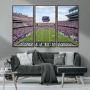 TCU Horned Frogs Football Team Print - Fort Worth Amon G.