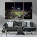 TCU Horned Frogs Football Team Print - Fort Worth Amon G.