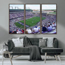 The Texas Christian University TCU Horned Frogs Football