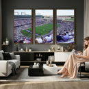 The Texas Christian University TCU Horned Frogs Football