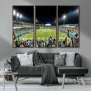 The Tulane University Green Wave Football Team Print - New