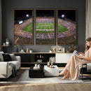 The University of Connecticut UCONN Huskies Football Team