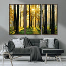 Sunlit Forest Wall Art Canvas Print – Large Framed Woodland