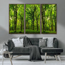 Lush Green Forest Canvas Print | 3-Panel Forest Wall Art | by MyGreatCanvas | Canvas Wall Art Prints | Photo Prints & Wall Decor
