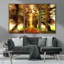 Sunshine in Forest and Trees Wall Art Canvas Print by MyGreatCanvas | Canvas Wall Art Prints | Photo Prints & Wall Decor