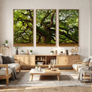 Angel Oak Tree Wall Art Canvas Print | Forest Tree Nature