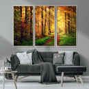 Sunlight Through Trees Wall Art Canvas Print - Autumn Forest by MyGreatCanvas | Canvas Wall Art Prints | Photo Prints & Wall Decor
