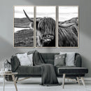 Longhorn Steer Canvas Print Wall Art, Highland Cow Canvas by MyGreatCanvas | Canvas Wall Art Prints | Photo Prints & Wall Decor