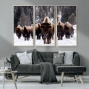 Bison Wall Art Canvas Print- Bison Herd Canvas Wall Art –