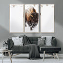Bison Winter Wall Art Canvas Print For Farmhouse Decor