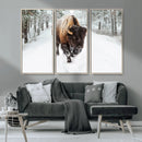 Bison Wall Art Canvas Print For Farmhouse, Animal Canvas